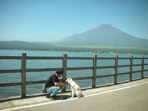 富士山と人と犬