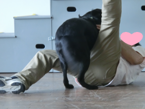 パパを押し倒すツムギ