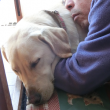 仲良く眠る犬と飼い主