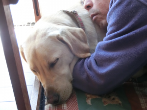仲良く眠る犬と飼い主