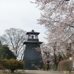 犬連れ沼田公園｜歴史と桜を訪ねて