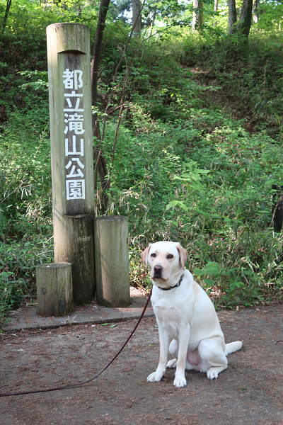 滝山公園標識と犬