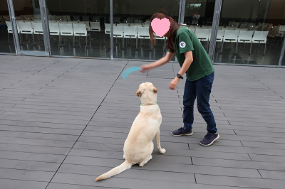 訓練士と遊ぶ犬