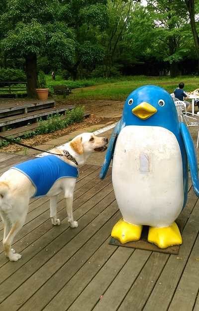 ペンギンの置物に興味を示す犬