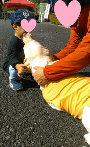 子どもの顔を舐める犬