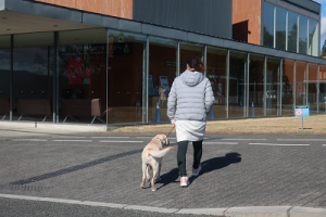 訓練士と建物へ向かう犬
