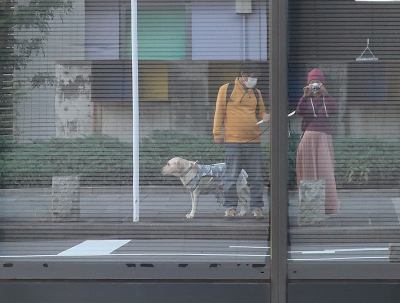 ガラス窓に映る人と犬