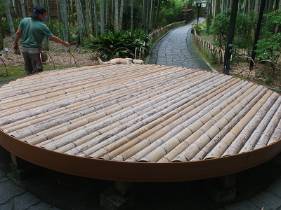 竹のベンチ