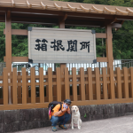 犬連れ箱根｜江戸時代の建物を復元！箱根関所を見に行こう