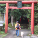 犬連れ箱根｜駒形神社
