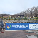 【年間パスポート】国営昭和記念公園で作ってみた！全国の国営公園で使用できるよ