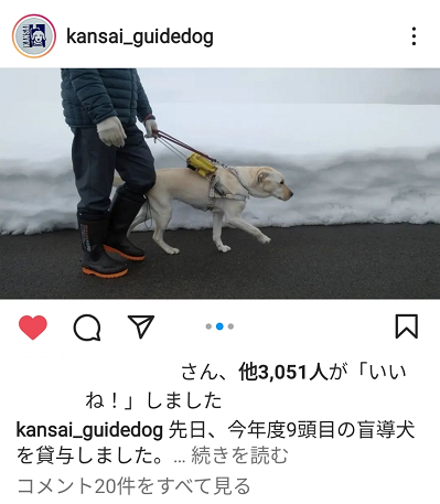 関西盲導犬協会インスタグラム