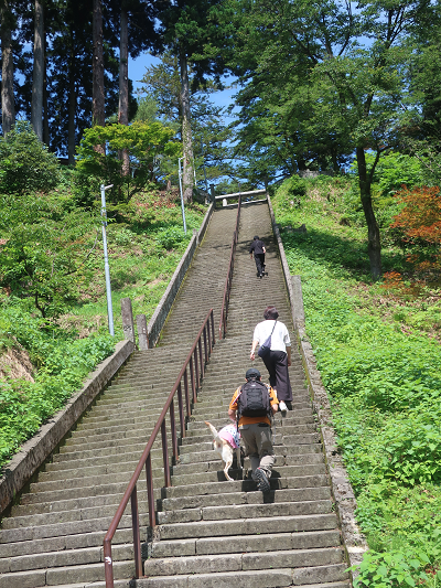 神社の階段を昇る