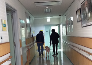 医務室に向かう繁殖犬