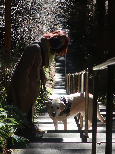 階段途中の犬と人