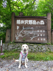 野鳥の森入り口