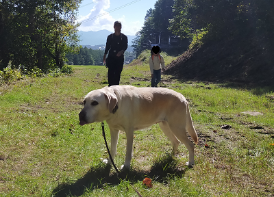 散歩する犬