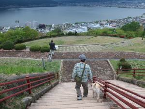 階段を下りる人と犬