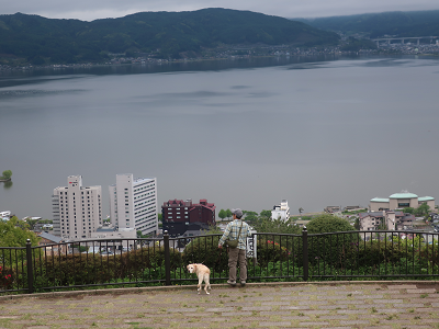 湖を眺める
