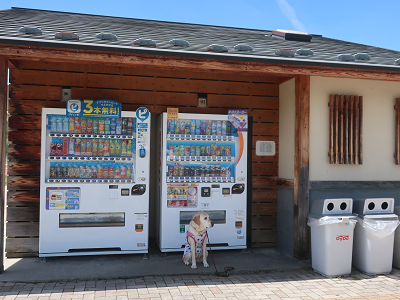 トイレと自動販売機