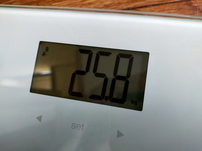 25.8㎏