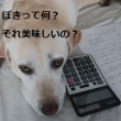 伏せる犬