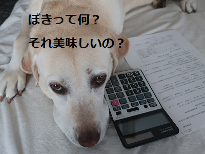 伏せる犬