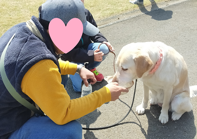 水を飲む犬