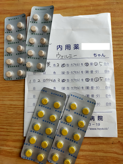 飲み薬