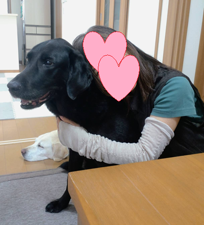 ぎゅっとしてみた