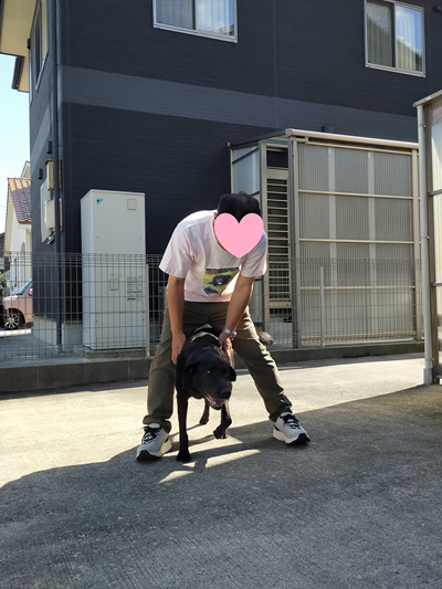 再会