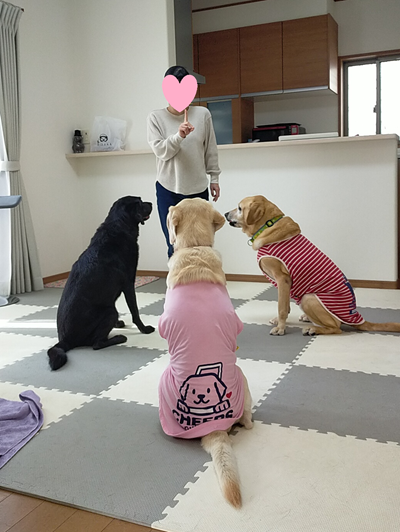お座りできるかな