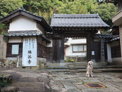 佛谷寺