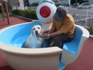 ベンチ
