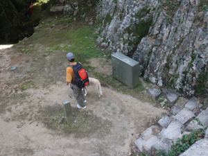 二重櫓から下を見る