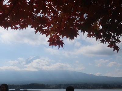 紅葉と富士山